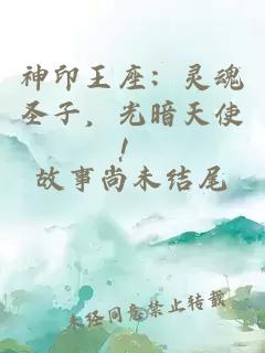 神印王座：靈魂圣子，光暗天使！